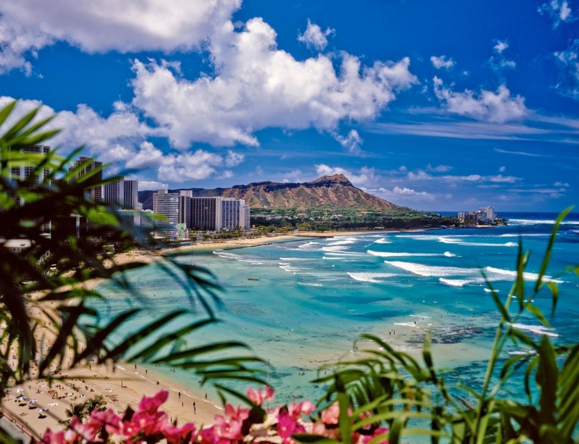 הונולולו Diamond Head View Close To Waikiki Beach With Parking מראה חיצוני תמונה